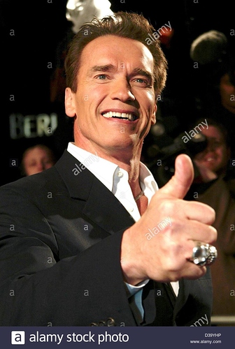 afp-berlinale-hollywood-star-arnold-schwarzenegger-montre-le-pouce-geste-vers-le-haut-comme-il-arrive-pour-la-projection-de-son-nouveau-film-dommages-collateraux-a-la-52-festival-international-du-film-de-berlin-14-
